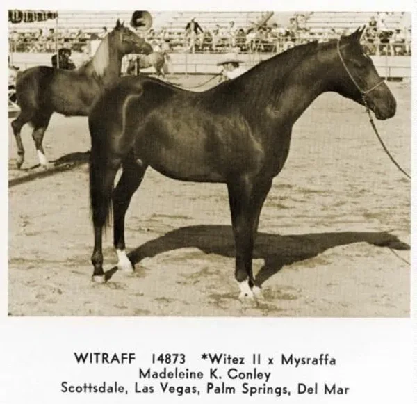 WITRAFF