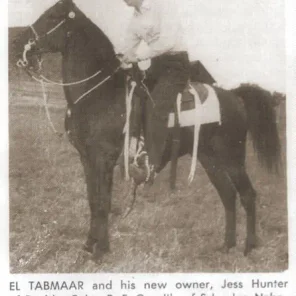 EL TABMAAR