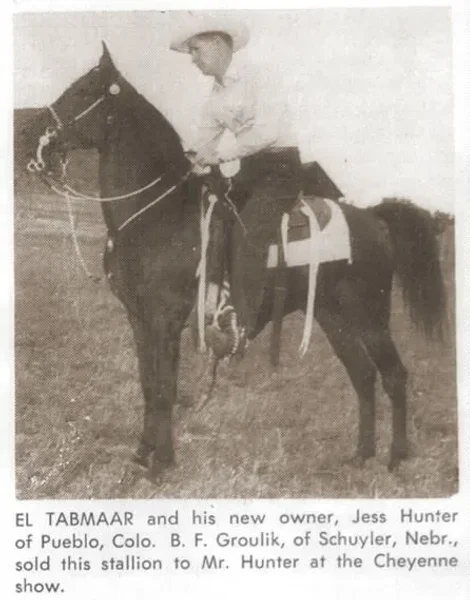 EL TABMAAR
