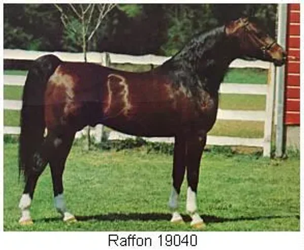 RAFFON