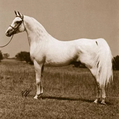JORAMIR