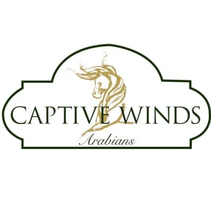 Captive Winds Arabians