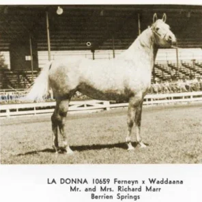 La Donna