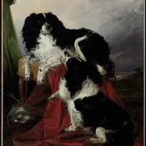 Reigning Cats and Dogs