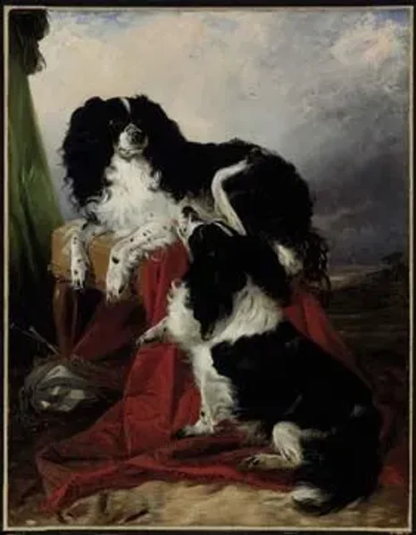 Cats, Dogs and Pets of the Kings and Queens