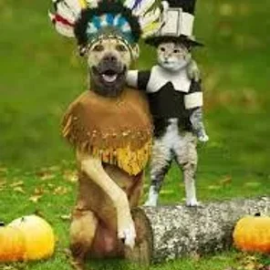 Your Favorite Thanksgiving Pics/Videos