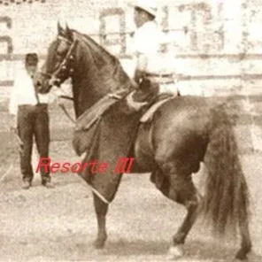 Resorte III