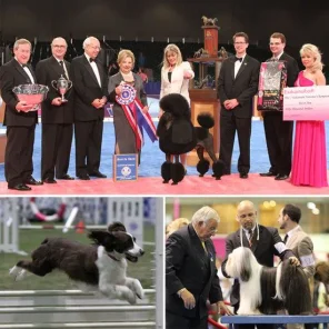 GETTING STARTED SHOWING YOUR DOG, AKC