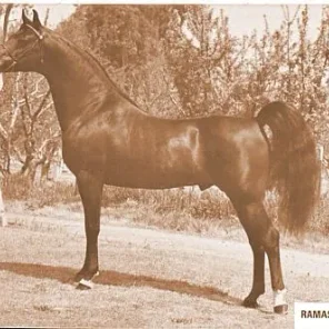 RAMASEYN