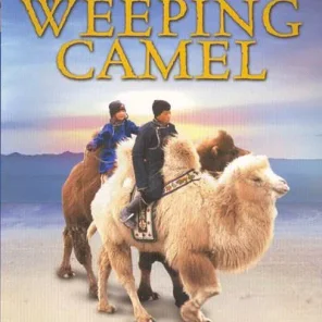 The Story of the Weeping Camel