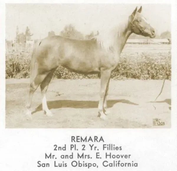 Remara