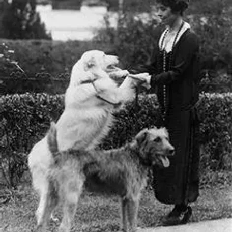 Our U.S. Presidents and some their Pets