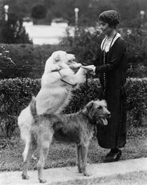 Our U.S. Presidents and some their Pets
