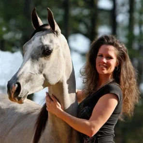Euromotion Z