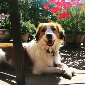 Max enjoys the good life!