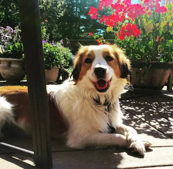 Max enjoys the good life!