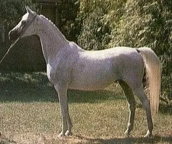 ESKAPADA