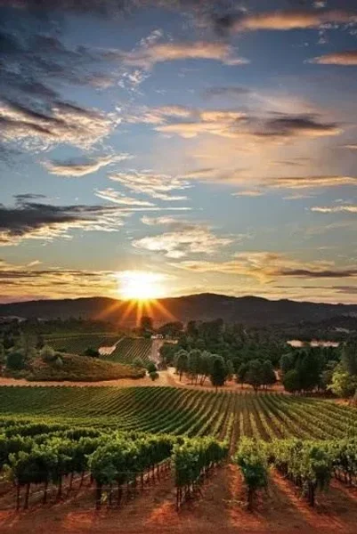 Beautiful El Dorado Hills is nestled in the picturesque mountain foothills of the Sierras and is often referred to as the gateway to El Dorado County. With elevations ranging from 200 feet to over 10,800 feet, there is tremendous diversity in the landscap