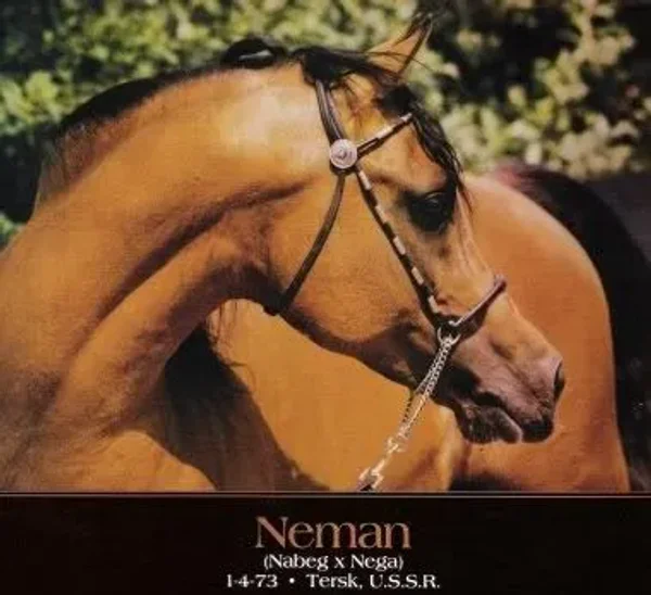 Neman