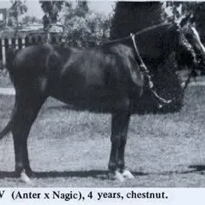 AABER