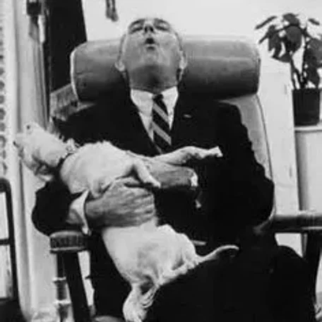 Our U.S. Presidents and some their Pets