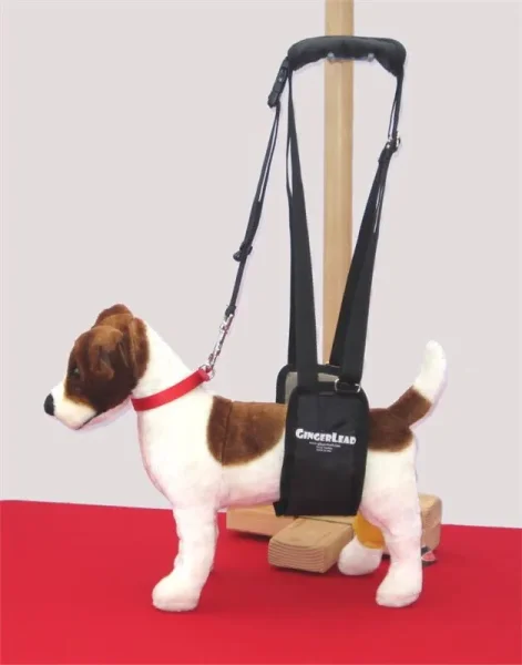 GingerLead