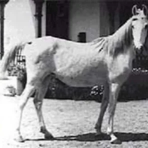 GALILA