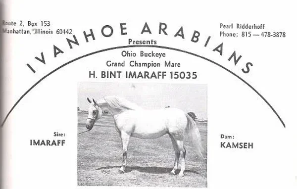 HILLCRESTS BINT IMARAFF