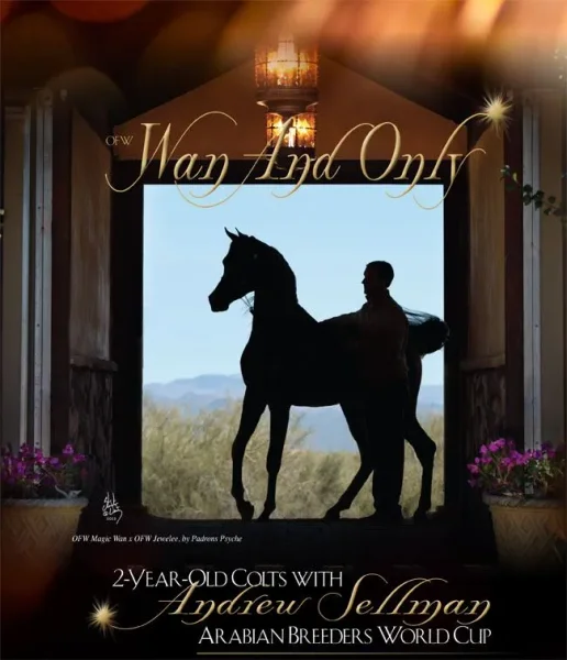Wan And Only * Andrew Sellman * Vegas 2013