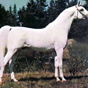 GDANSK+