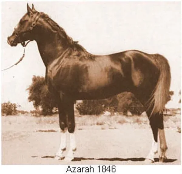 Azarah