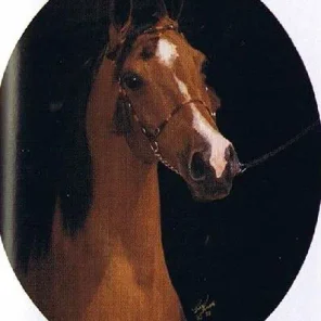 Nahodka