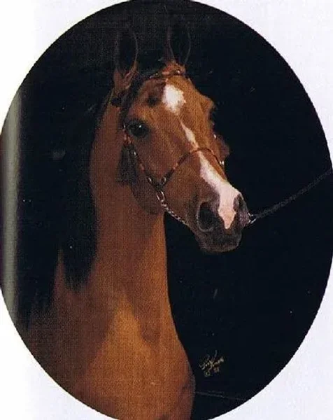 Nahodka