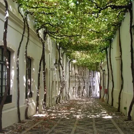 Charming lanes of Gousainville
