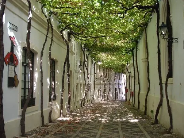 Charming lanes of Gousainville