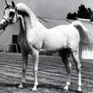 FASEROUF