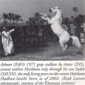 ASHOUR