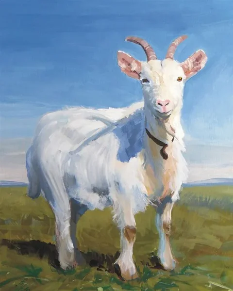 Goat Tales