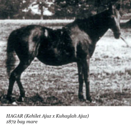 Hagar