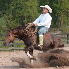 What Do I Need to Know About Western Horse Training?
