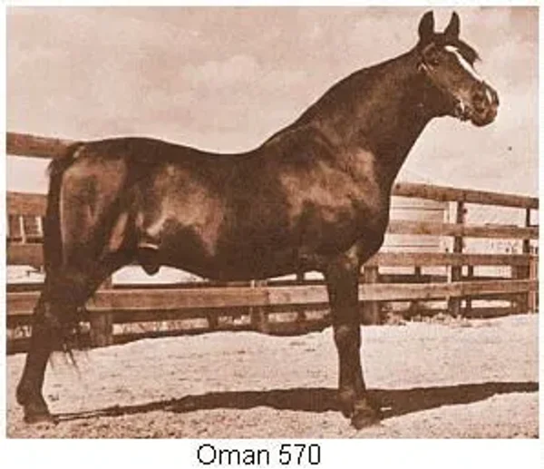 Oman