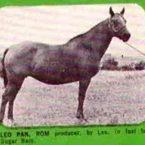 Leo Pan