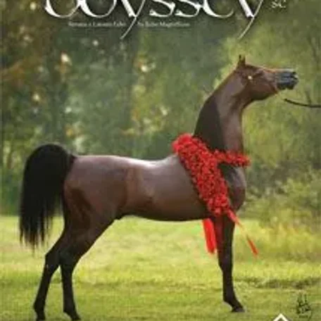 Odyssey SC