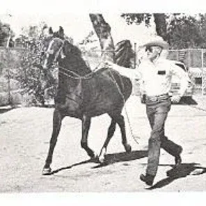 FEREZJA