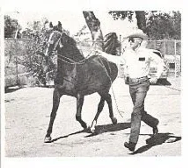 FEREZJA