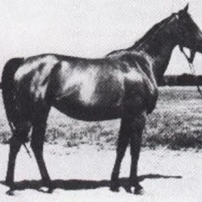sekwana