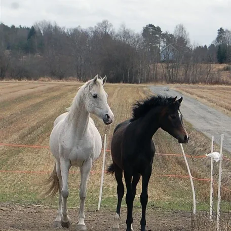 Mother and son, in the wind!