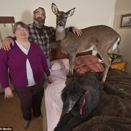 Dr Melanie Butera and her husband Steve Heathman

