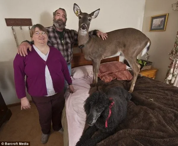 Dr Melanie Butera and her husband Steve Heathman

