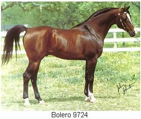 Bolero